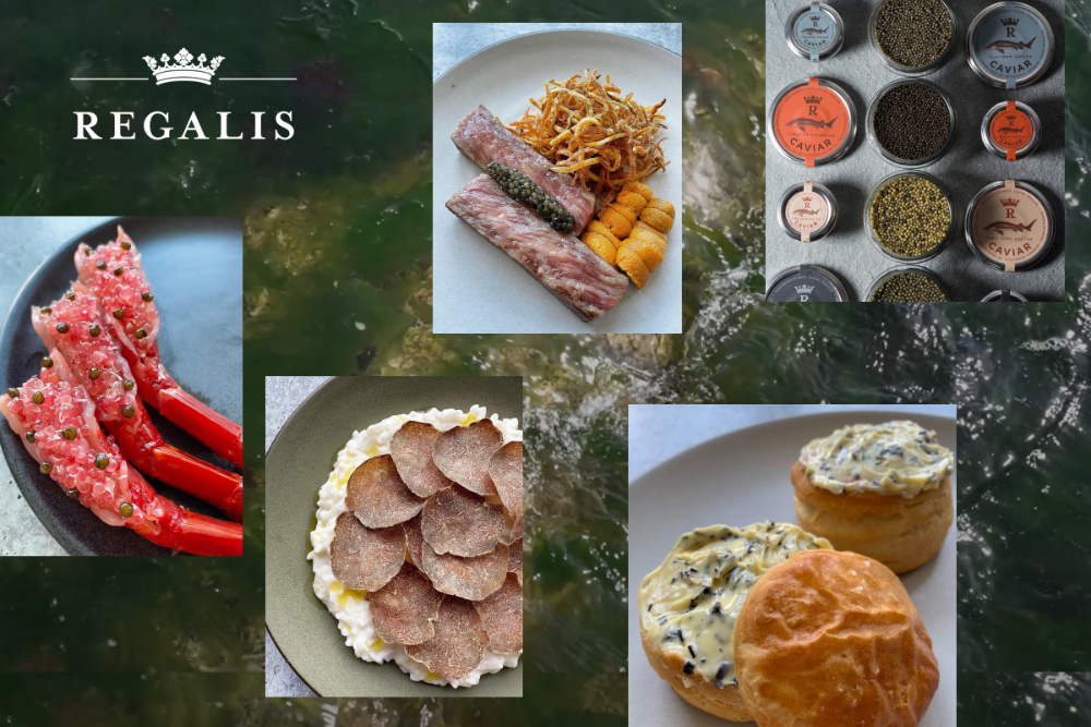 2B Website Shopify review Regalís customer