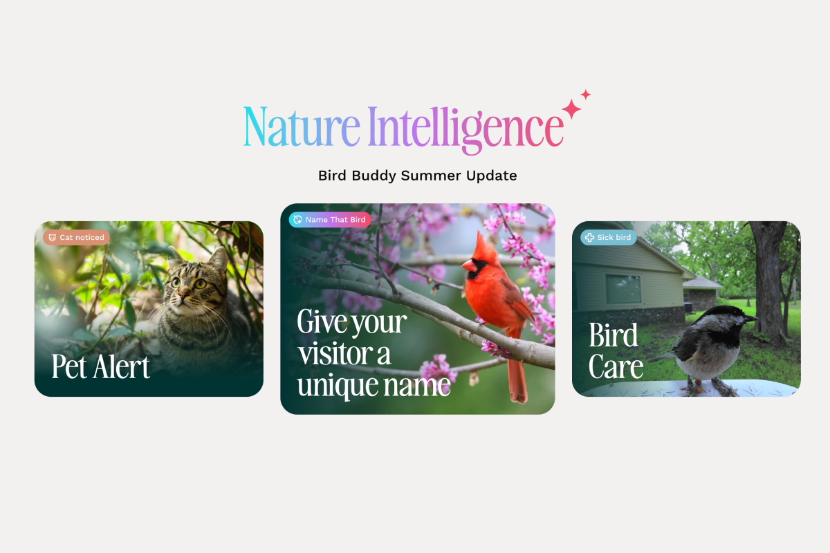 2B Website Shopify review Birdbuddy customer