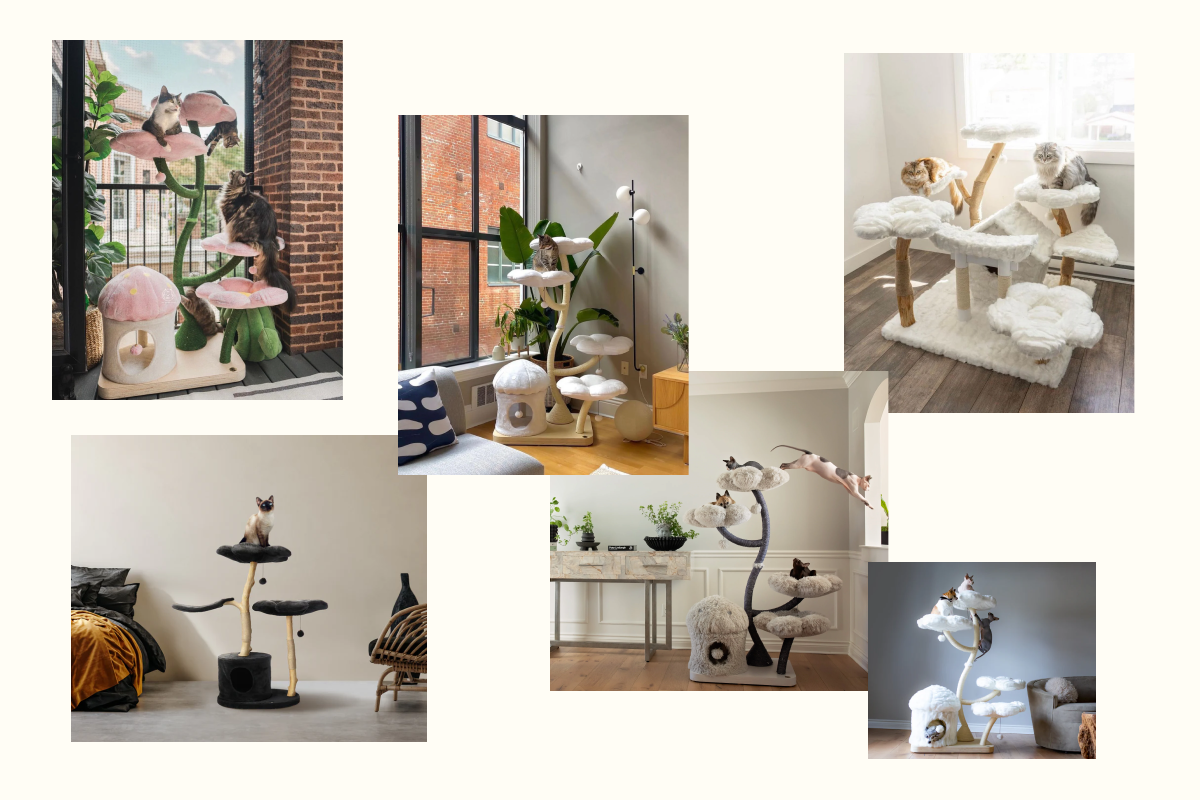 2B Website KBs pet customer review