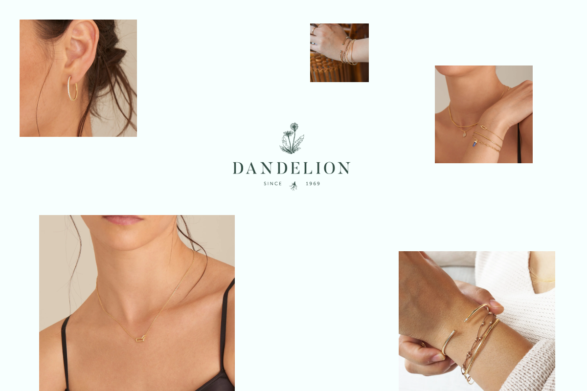 2B Website Shopify review Dandelion customer