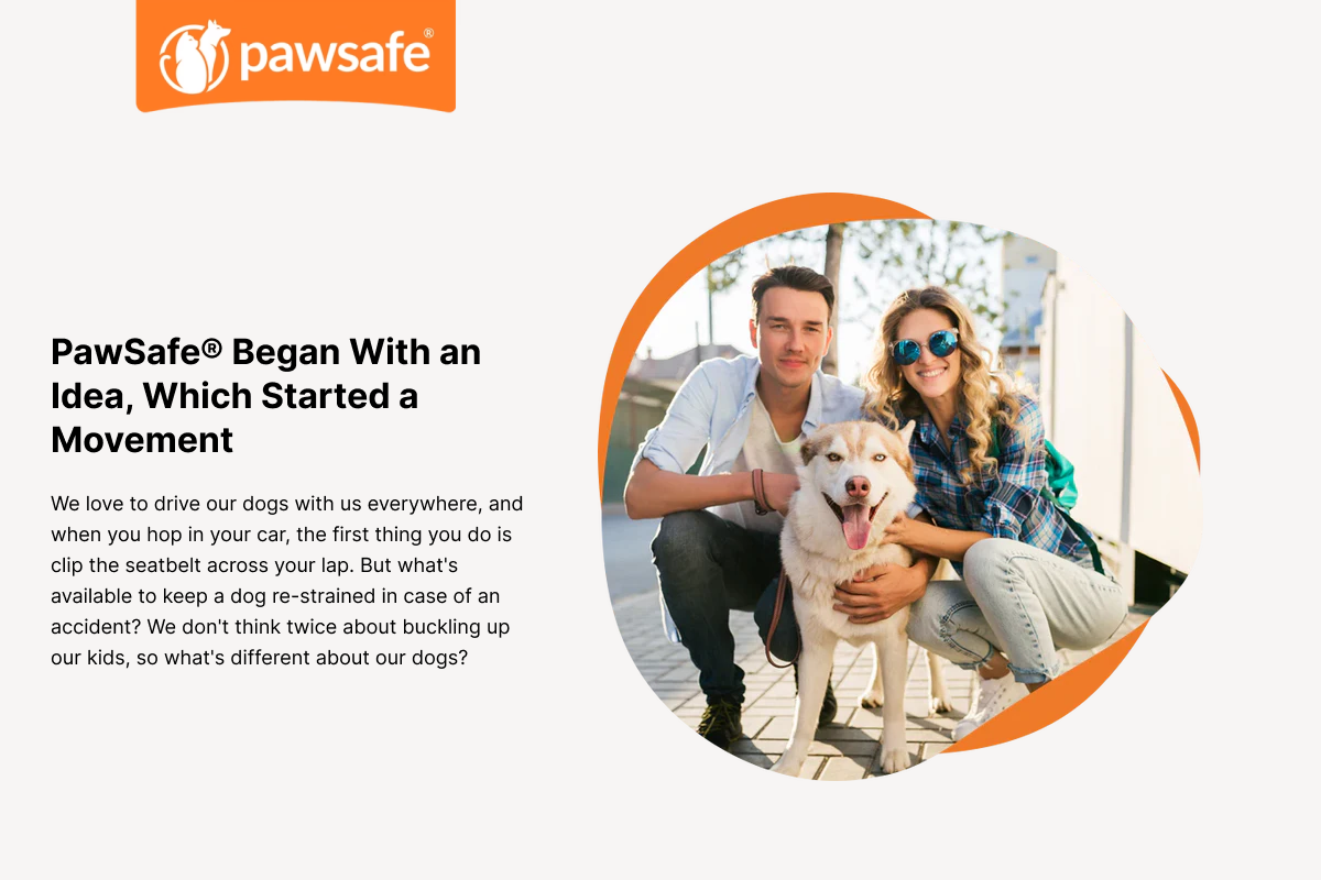 2B Website Pawsafe customer review